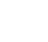 Web/Application Development