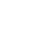 Web/Application Development